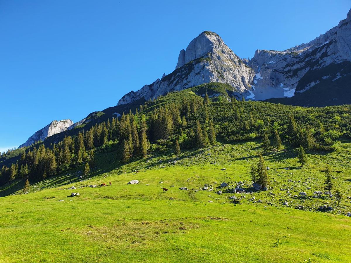 Haus Salzkammergut Obertraun Eksteriør billede