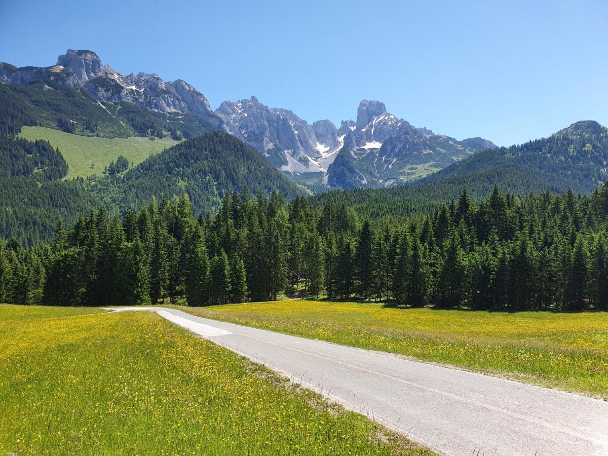 Haus Salzkammergut Obertraun Eksteriør billede