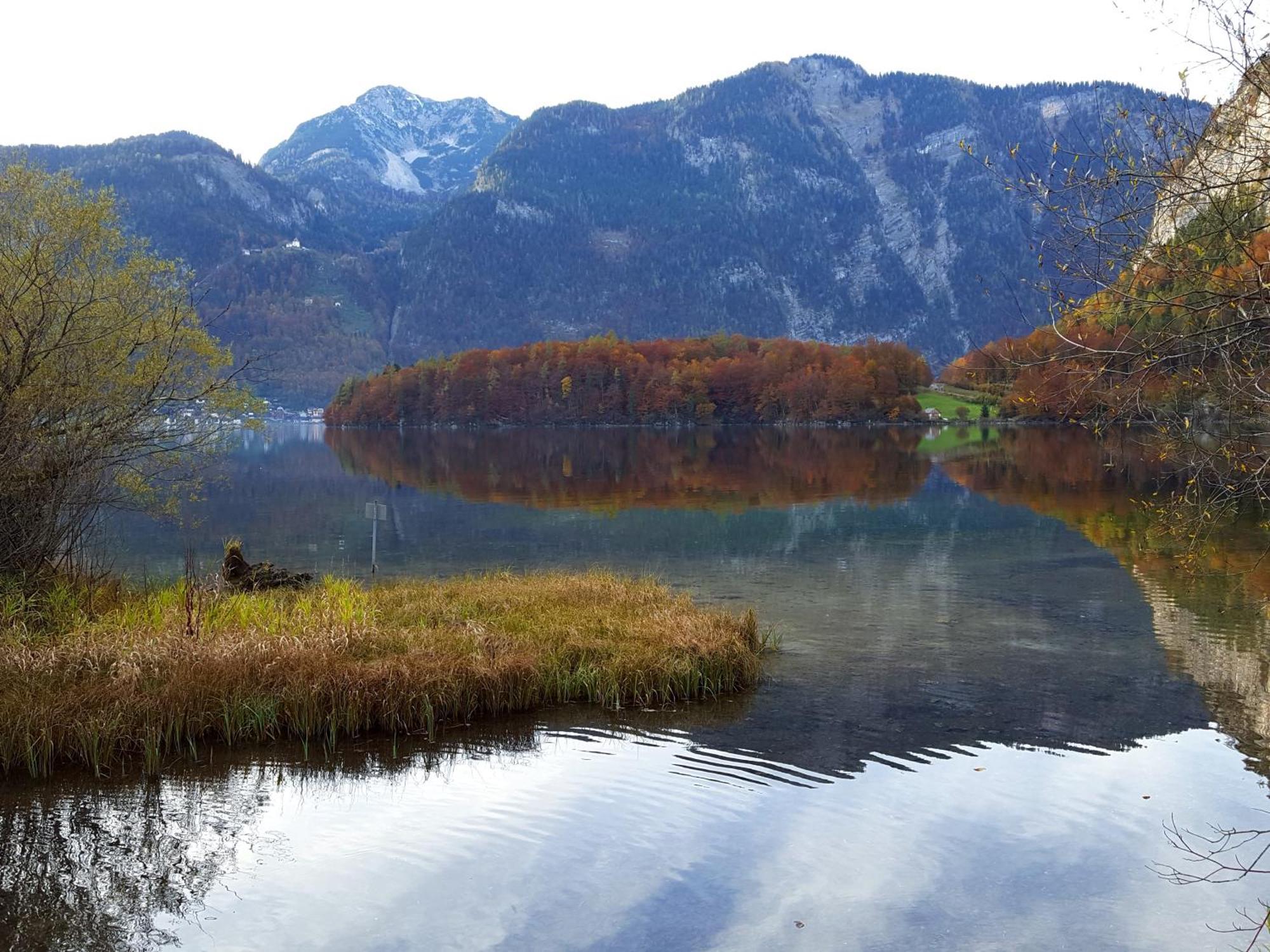 Haus Salzkammergut Obertraun Eksteriør billede