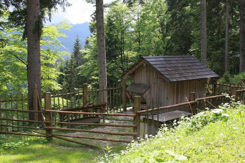 Haus Salzkammergut Obertraun Eksteriør billede